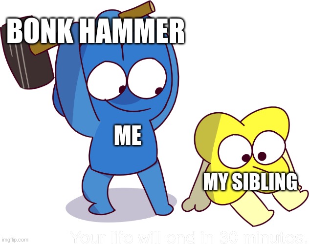 *BONK* | BONK HAMMER; ME; MY SIBLING | image tagged in your life will end in 30 minutes | made w/ Imgflip meme maker