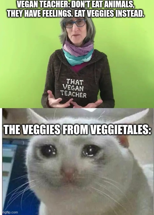 Image tagged in crying cat - Imgflip Image tagged in crying cat - Imgflip