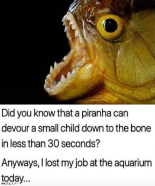 Aquarium Attendant | image tagged in unemployed | made w/ Imgflip meme maker