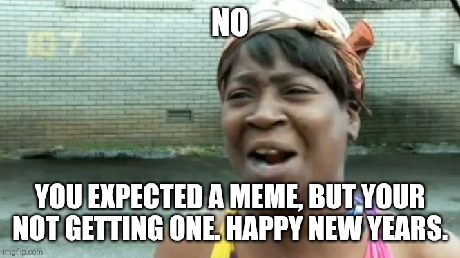 Ain't Nobody Got Time For That | NO; YOU EXPECTED A MEME, BUT YOUR NOT GETTING ONE. HAPPY NEW YEARS. | image tagged in memes,ain't nobody got time for that | made w/ Imgflip meme maker