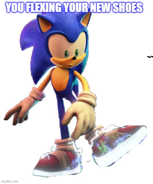 Sonic meme | YOU FLEXING YOUR NEW SHOES | image tagged in sonic the hedgehog | made w/ Imgflip meme maker