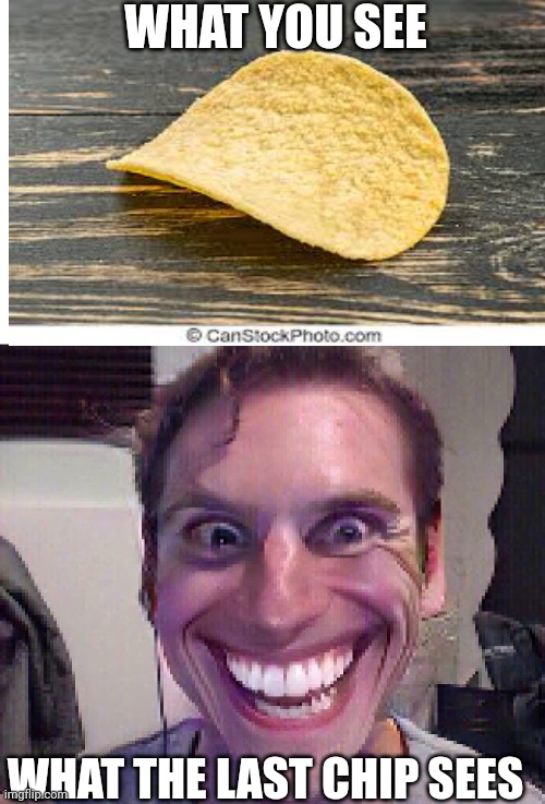 When there's one chip left | WHAT YOU SEE; WHAT THE LAST CHIP SEES | image tagged in when the imposter is sus | made w/ Imgflip meme maker