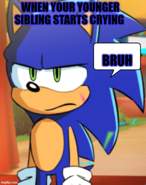 Bruh | WHEN YOUR YOUNGER SIBLING STARTS CRYING; BRUH | image tagged in sonic the hedgehog | made w/ Imgflip meme maker