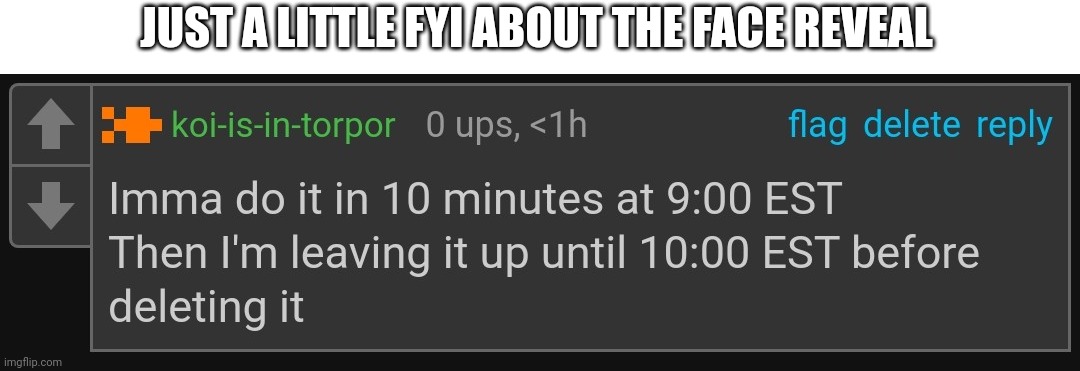 JUST A LITTLE FYI ABOUT THE FACE REVEAL | made w/ Imgflip meme maker