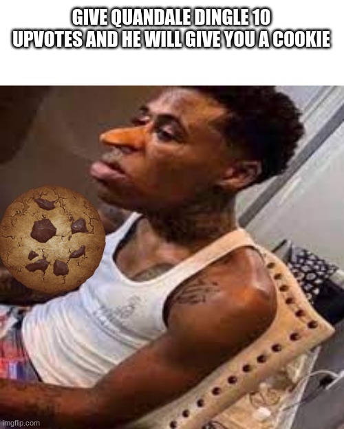 LALALEOIEIOJF | GIVE QUANDALE DINGLE 10 UPVOTES AND HE WILL GIVE YOU A COOKIE | image tagged in upvote fairy | made w/ Imgflip meme maker