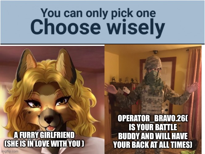OPERATOR_BRAVO.26( IS YOUR BATTLE BUDDY AND WILL HAVE YOUR BACK AT ALL TIMES); A FURRY GIRLFRIEND (SHE IS IN LOVE WITH YOU ) | image tagged in you can pick only one choose wisely,furry,vs,us army,soldier | made w/ Imgflip meme maker