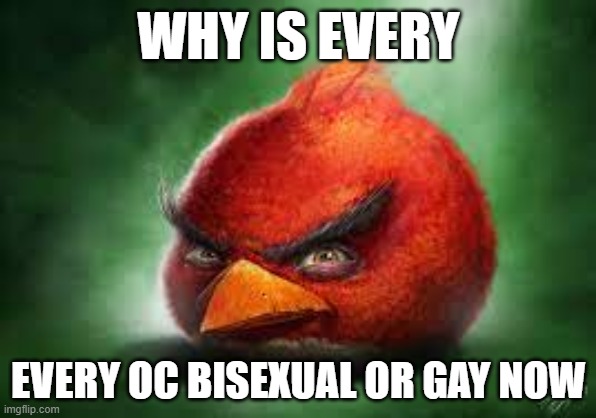 like, almost every oc i see its bisexual or gay. | WHY IS EVERY; EVERY OC BISEXUAL OR GAY NOW | image tagged in realistic red angry birds | made w/ Imgflip meme maker