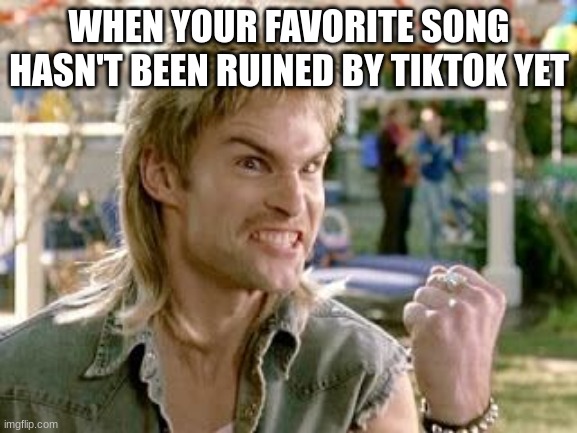 yesssssssss | WHEN YOUR FAVORITE SONG HASN'T BEEN RUINED BY TIKTOK YET | image tagged in yesss | made w/ Imgflip meme maker