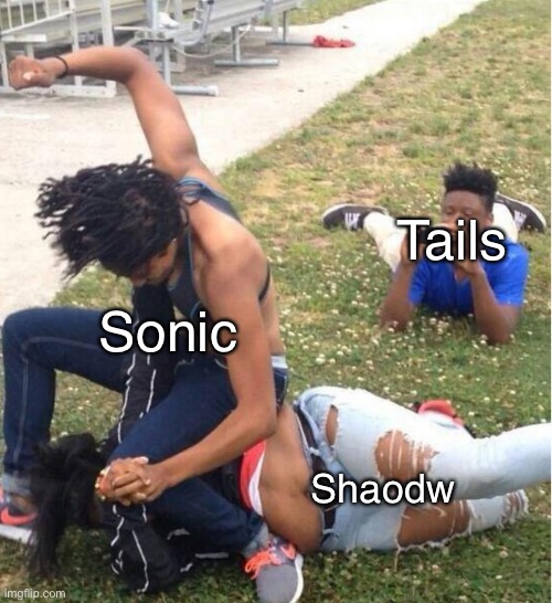 Guy recording a fight | Tails; Sonic; Shadow | image tagged in guy recording a fight,sonic the hedgehog,shadow the hedgehog,tails the fox | made w/ Imgflip meme maker