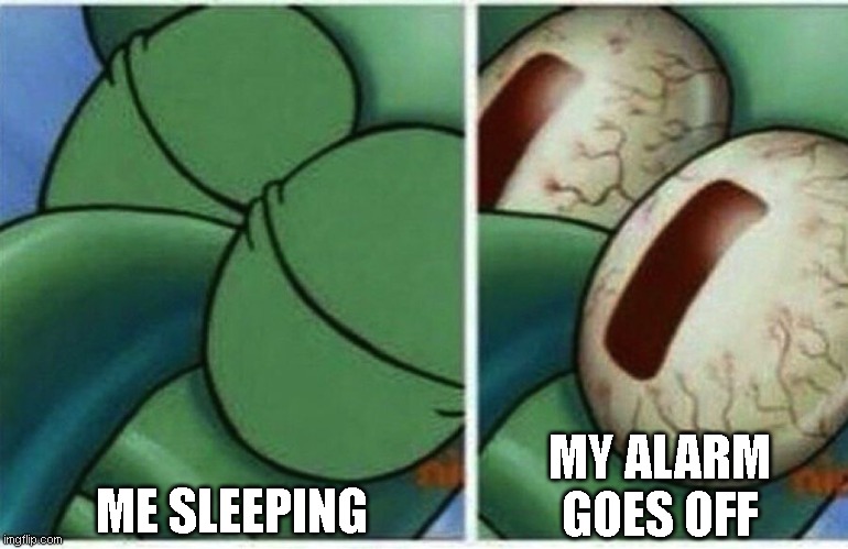 Squidward | ME SLEEPING; MY ALARM GOES OFF | image tagged in squidward | made w/ Imgflip meme maker