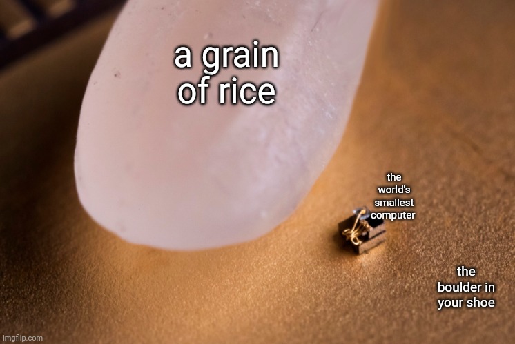 Grain Of Rice | a grain of rice; the world's smallest computer; the boulder in your shoe | image tagged in grain of rice | made w/ Imgflip meme maker