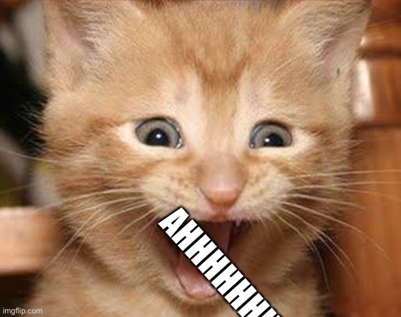 Excited Cat |  AHHHHHHHHHHH | image tagged in memes,excited cat,aaa,cats | made w/ Imgflip meme maker