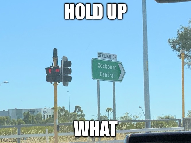 Only In Australia (literally) | HOLD UP; WHAT | image tagged in memes,fun | made w/ Imgflip meme maker