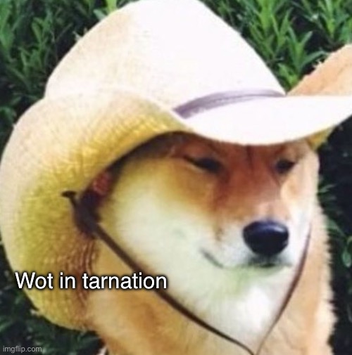 Wot in tarnation | Wot in tarnation | image tagged in wot in tarnation | made w/ Imgflip meme maker