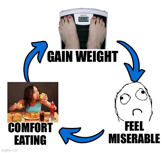 Feeling fat = feeling depressed  = comfort eating and weight gain vicious cycle. No to fat shaming. | GAIN WEIGHT; FEEL MISERABLE; COMFORT EATING | image tagged in three arrows vicious cycle,feeling fat,overweight,comfort eating,depression,fat shame | made w/ Imgflip meme maker