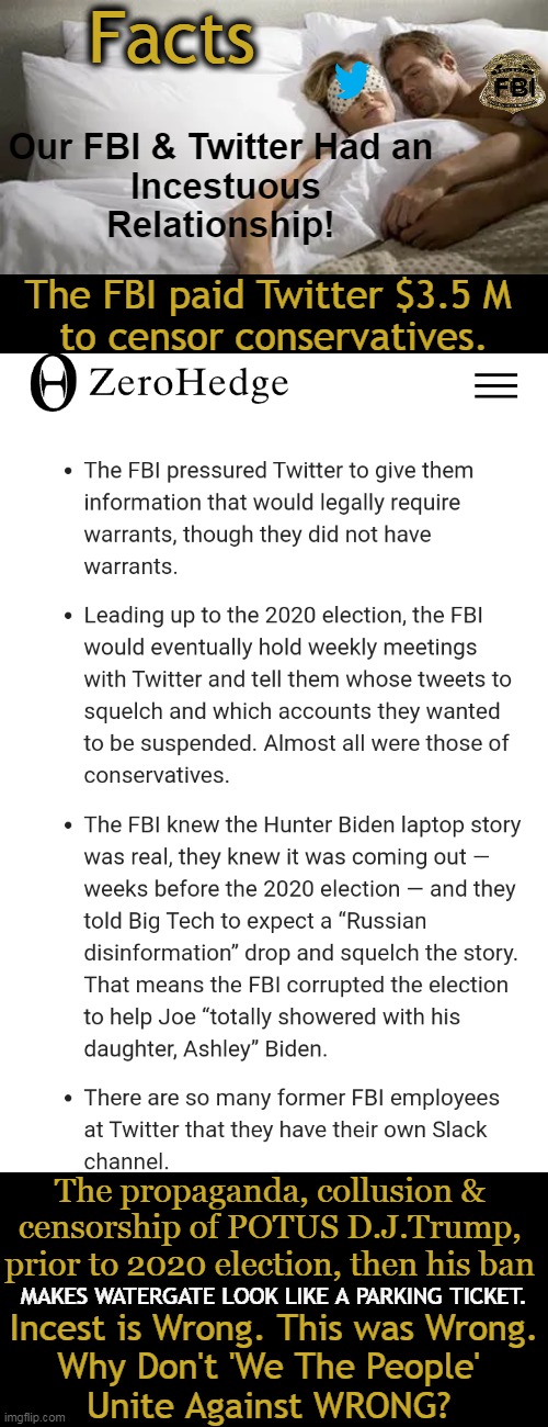 Do Democrats & The FBI Totally Ignore Right From Wrong These Days? | Facts; FBI; Our FBI & Twitter Had an 
Incestuous Relationship! The FBI paid Twitter $3.5 M 
to censor conservatives. The propaganda, collusion & 
censorship of POTUS D.J.Trump, 
prior to 2020 election, then his ban; MAKES WATERGATE LOOK LIKE A PARKING TICKET. Incest is Wrong. This was Wrong.
Why Don't 'We The People' 
Unite Against WRONG? | image tagged in politics,fbi,democrats,twitter,right vs wrong,collusion | made w/ Imgflip meme maker