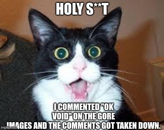 i think i did it | HOLY S**T; I COMMENTED "OK VOID" ON THE GORE IMAGES AND THE COMMENTS GOT TAKEN DOWN. | image tagged in holy shit are you sexy | made w/ Imgflip meme maker