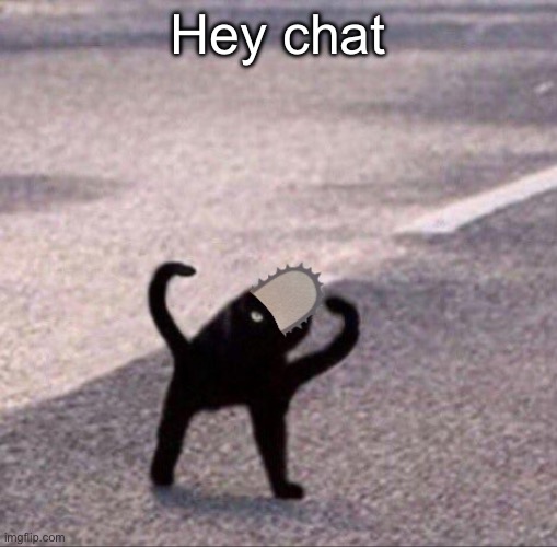Dankchita | Hey chat | image tagged in dankchita | made w/ Imgflip meme maker