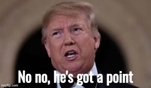 Donald Trump no no he's got a point | image tagged in donald trump no no he's got a point | made w/ Imgflip meme maker