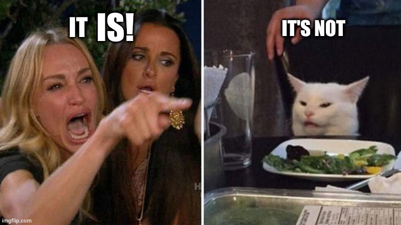 Is it? | IT'S NOT; IS! IT | image tagged in woman yelling at white cat | made w/ Imgflip meme maker