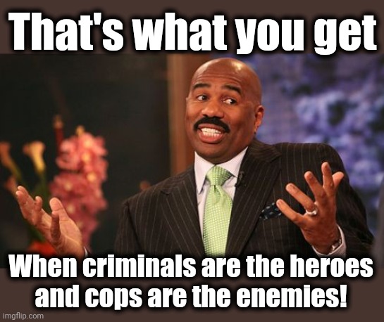 Steve Harvey Meme | That's what you get When criminals are the heroes
and cops are the enemies! | image tagged in memes,steve harvey | made w/ Imgflip meme maker