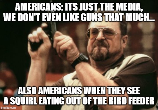 That's For The Birds, Dingus!!! | AMERICANS: ITS JUST THE MEDIA, WE DON'T EVEN LIKE GUNS THAT MUCH... ALSO AMERICANS WHEN THEY SEE A SQUIRL EATING OUT OF THE BIRD FEEDER | image tagged in memes,funny memes,america,dank memes,funny,front page | made w/ Imgflip meme maker