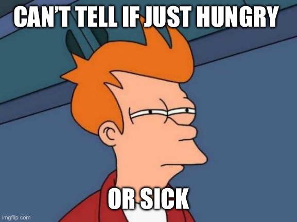 I just feel like crap ? | CAN’T TELL IF JUST HUNGRY; OR SICK | image tagged in memes,futurama fry | made w/ Imgflip meme maker