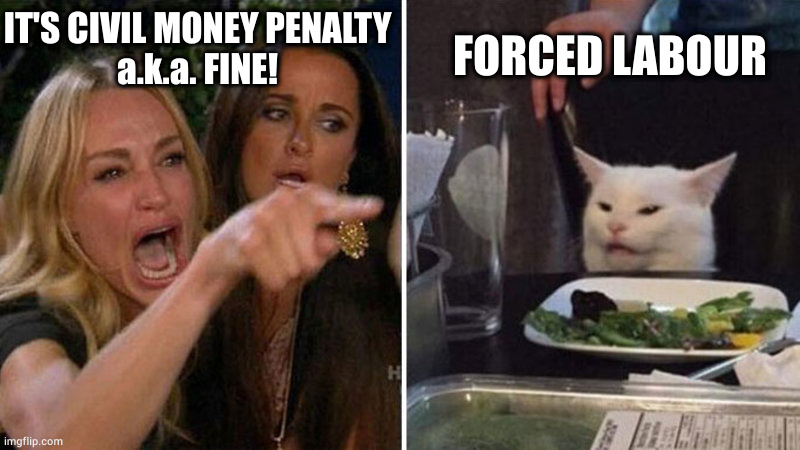 Gulag is:when must work for state | FORCED LABOUR; IT'S CIVIL MONEY PENALTY
a.k.a. FINE! | image tagged in woman yelling at white cat | made w/ Imgflip meme maker