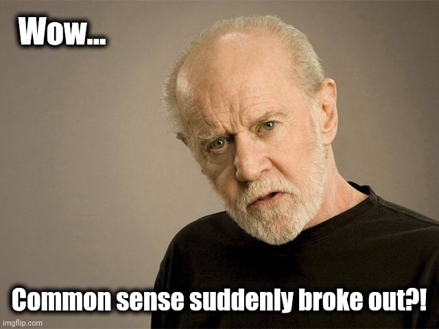 George Carlin | Wow... Common sense suddenly broke out?! | image tagged in george carlin | made w/ Imgflip meme maker