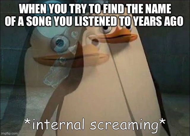 Same with everyone including me | WHEN YOU TRY TO FIND THE NAME OF A SONG YOU LISTENED TO YEARS AGO | image tagged in private internal screaming | made w/ Imgflip meme maker
