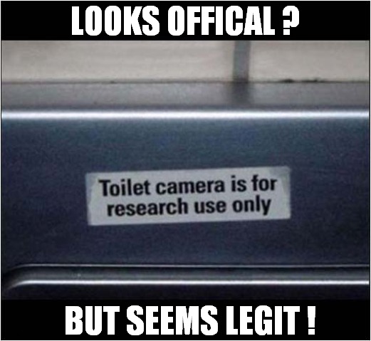 A Somewhat Suspicious Label ! | LOOKS OFFICAL ? BUT SEEMS LEGIT ! | image tagged in toilet,project,peeping tom,dark humour | made w/ Imgflip meme maker