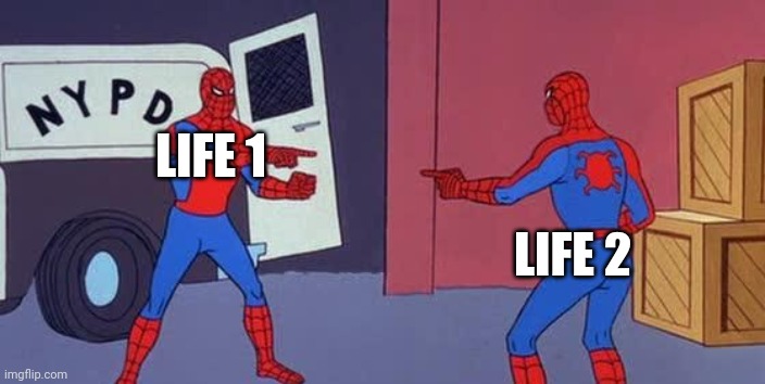 Spider Man Double | LIFE 1 LIFE 2 | image tagged in spider man double | made w/ Imgflip meme maker