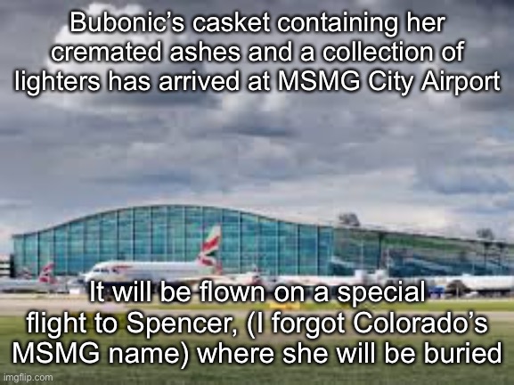 airport | Bubonic’s casket containing her cremated ashes and a collection of lighters has arrived at MSMG City Airport; It will be flown on a special flight to Spencer, (I forgot Colorado’s MSMG name) where she will be buried | image tagged in airport | made w/ Imgflip meme maker