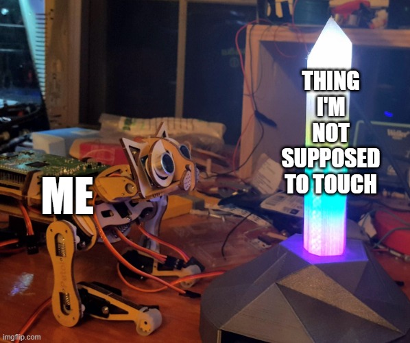 Cat looking at crystal | THING I'M NOT SUPPOSED TO TOUCH; ME | image tagged in cat,robot,crystal | made w/ Imgflip meme maker