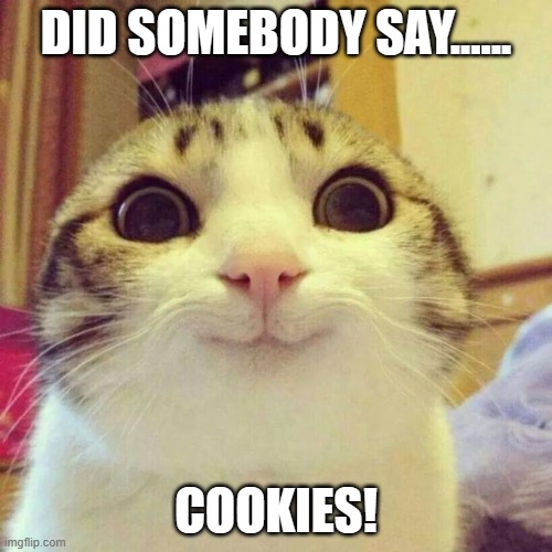 Cookie Cat | DID SOMEBODY SAY...... COOKIES! | image tagged in memes,smiling cat | made w/ Imgflip meme maker