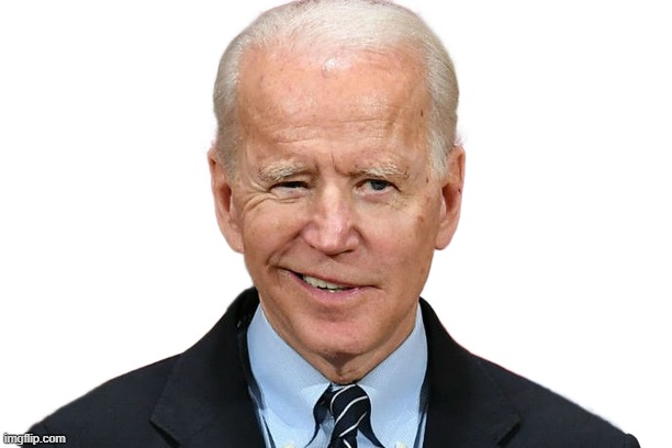 Goofy Biden | image tagged in goofy biden | made w/ Imgflip meme maker