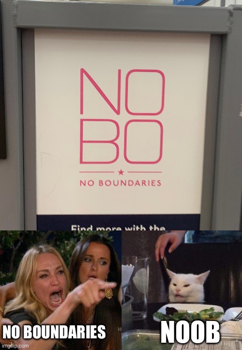 NOOB; NO BOUNDARIES | image tagged in memes,woman yelling at cat | made w/ Imgflip meme maker