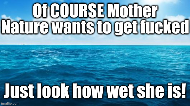 Ocean | Of COURSE Mother Nature wants to get fucked Just look how wet she is! | image tagged in ocean | made w/ Imgflip meme maker