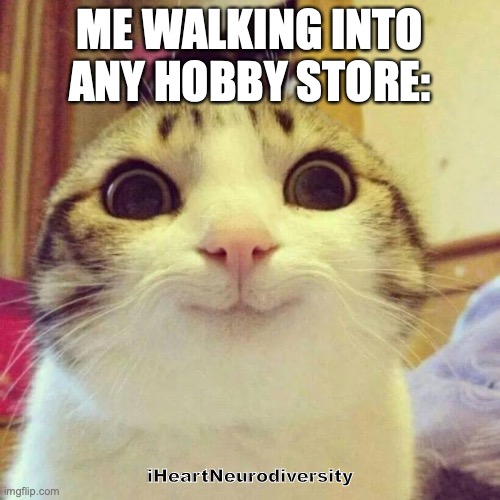 Smiling Cat | ME WALKING INTO ANY HOBBY STORE:; iHeartNeurodiversity | image tagged in memes,smiling cat | made w/ Imgflip meme maker