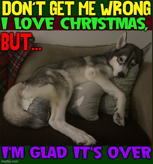 The Meaning of Dog Tired (pictured) | DON'T GET ME WRONG; I LOVE CHRISTMAS, BUT... I'M GLAD IT'S OVER | image tagged in vince vance,dogs,dog tired,memes,christmas memes,after christmas | made w/ Imgflip meme maker