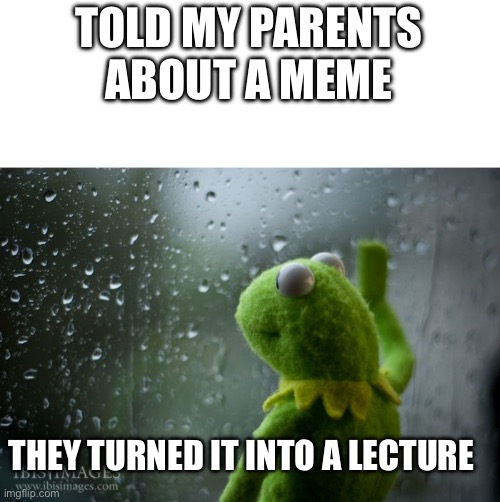 Always happens | TOLD MY PARENTS ABOUT A MEME; THEY TURNED IT INTO A LECTURE | image tagged in kermit window | made w/ Imgflip meme maker