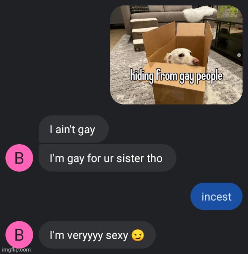 the only other sister i have is my cousin who i consider to be my sister | made w/ Imgflip meme maker