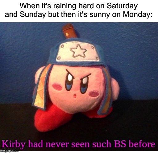 Kirby had never seen such BS before | When it's raining hard on Saturday and Sunday but then it's sunny on Monday: | image tagged in kirby had never seen such bs before,bullshit | made w/ Imgflip meme maker