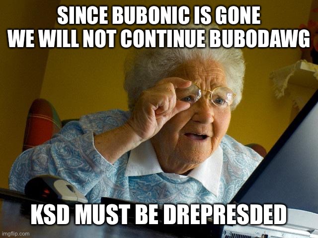 Grandma Finds The Internet | SINCE BUBONIC IS GONE WE WILL NOT CONTINUE BUBODAWG; KSD MUST BE DREPRESDED | image tagged in memes,grandma finds the internet | made w/ Imgflip meme maker