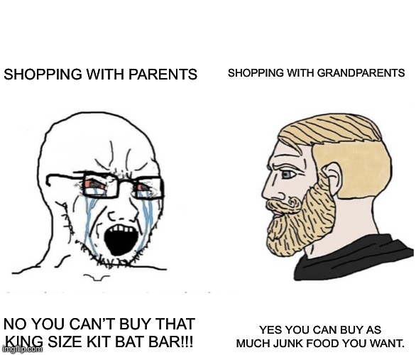 True | SHOPPING WITH PARENTS; SHOPPING WITH GRANDPARENTS; YES YOU CAN BUY AS MUCH JUNK FOOD YOU WANT. NO YOU CAN’T BUY THAT KING SIZE KIT BAT BAR!!! | image tagged in soyboy vs yes chad | made w/ Imgflip meme maker