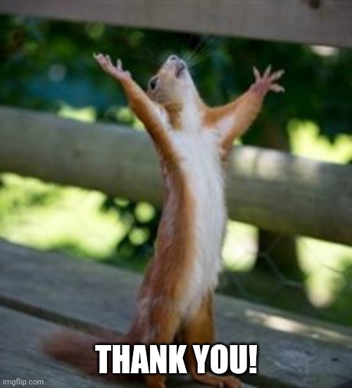 Thankful Squirrel | THANK YOU! | image tagged in thankful squirrel | made w/ Imgflip meme maker