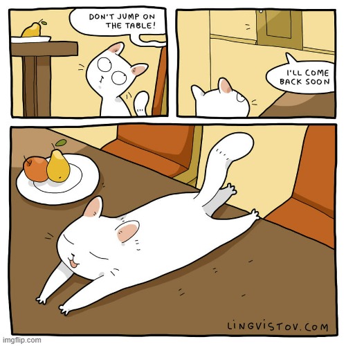 A Cat's Way Of Thinking | image tagged in memes,comics,cats,don't do it,i'll be back,perfect | made w/ Imgflip meme maker