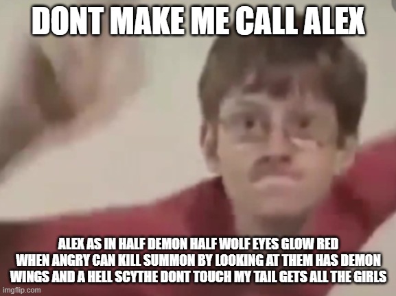 Sonic kid | DONT MAKE ME CALL ALEX; ALEX AS IN HALF DEMON HALF WOLF EYES GLOW RED WHEN ANGRY CAN KILL SUMMON BY LOOKING AT THEM HAS DEMON WINGS AND A HELL SCYTHE DONT TOUCH MY TAIL GETS ALL THE GIRLS | image tagged in sonic kid | made w/ Imgflip meme maker