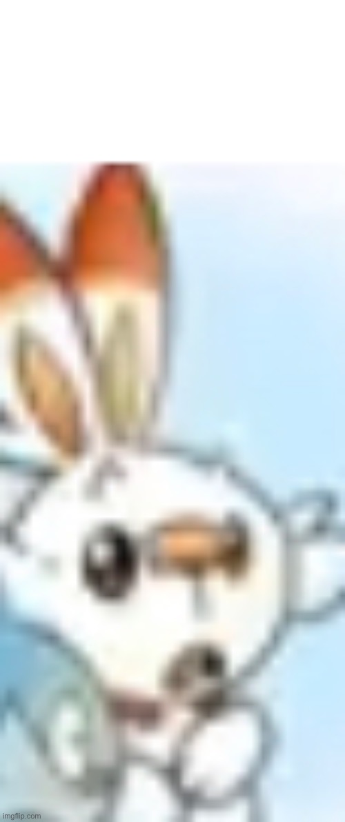 High Quality Surprised Scorbunny Blank Meme Template