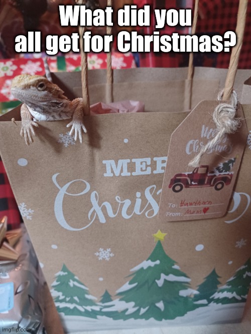 I got a bearded dragon plushie | What did you all get for Christmas? | image tagged in christmas,christmas presents,merry christmas | made w/ Imgflip meme maker
